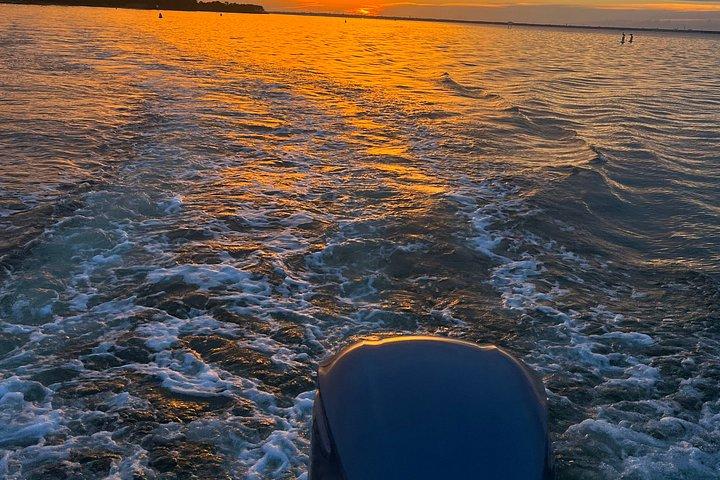 Sunset Dolphin kryssning