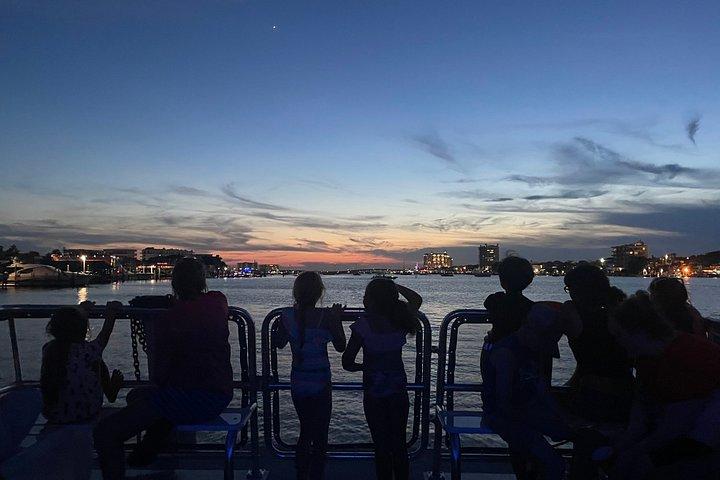 Sunset Dolphin kryssning