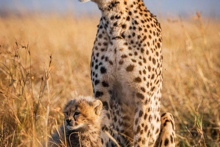 14 Tage Abenteuer in Ostafrika