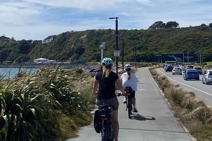 6時間のEバイクレンタル：自分のペースでウェリントンを探索