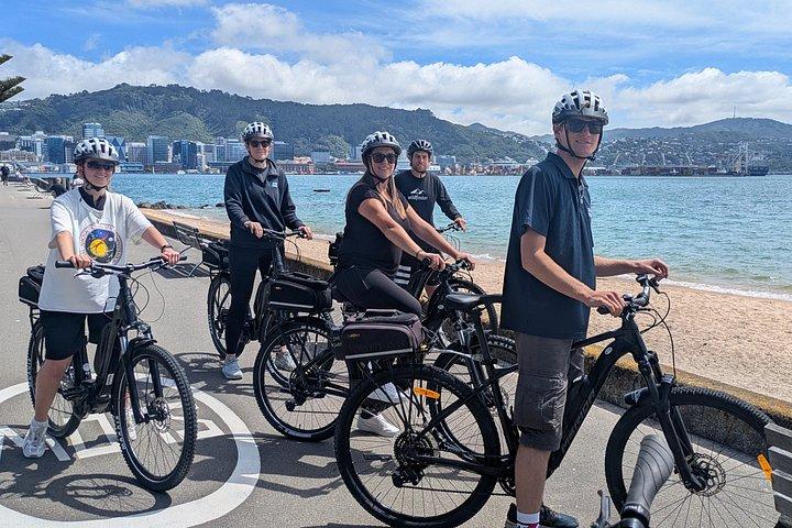6時間のEバイクレンタル：自分のペースでウェリントンを探索