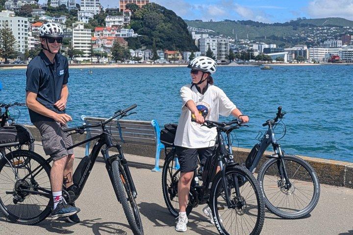 6時間のEバイクレンタル：自分のペースでウェリントンを探索