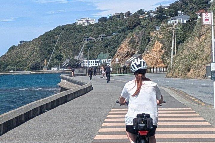 6時間のEバイクレンタル：自分のペースでウェリントンを探索