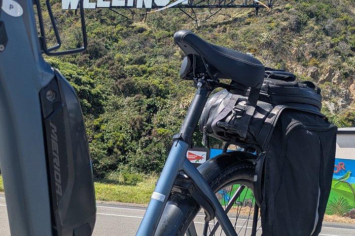 6時間のEバイクレンタル：自分のペースでウェリントンを探索