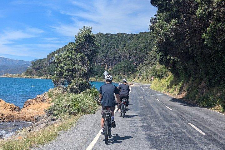 6時間のEバイクレンタル：自分のペースでウェリントンを探索