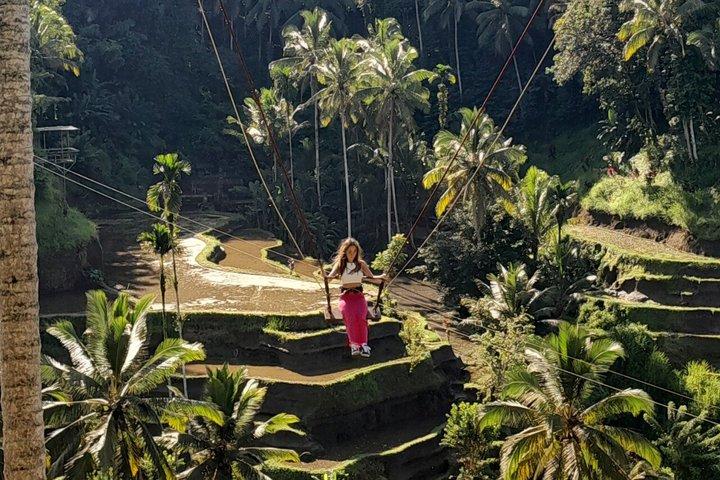 Tour Privado Ubud Monkey Forest, Terraços de Arroz e Templos