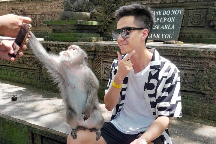 Tour Privado Ubud Monkey Forest, Terraços de Arroz e Templos