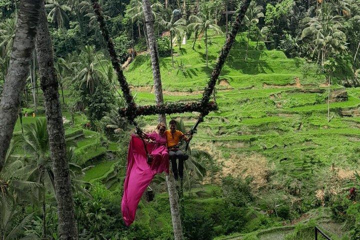 Tour Privado Ubud Monkey Forest, Terraços de Arroz e Templos