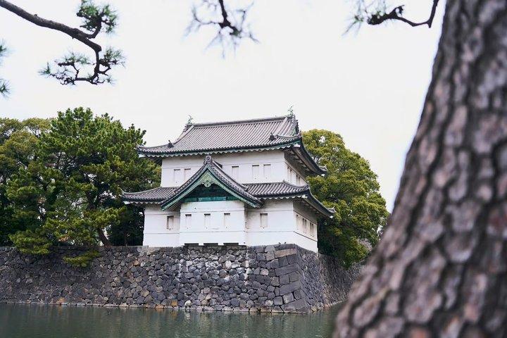 Tokio : 1 uur Keizerlijk Paleis Inleiding vanaf Tokyo Station