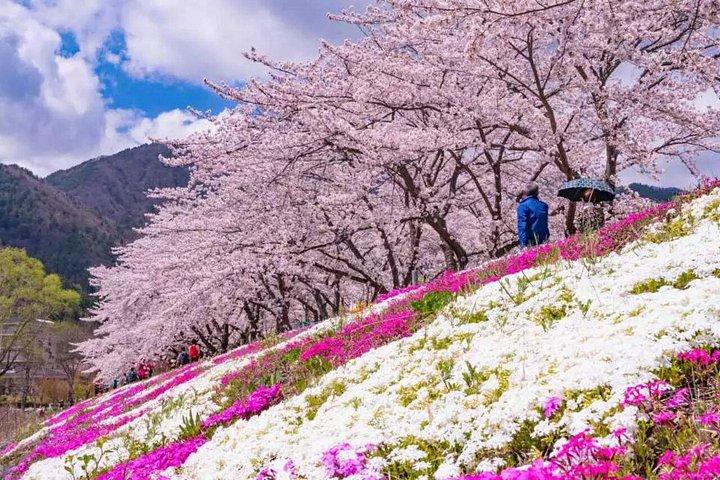 富士山日帰り｜5合目 忍野八海・ロープウェイ ランチ付き