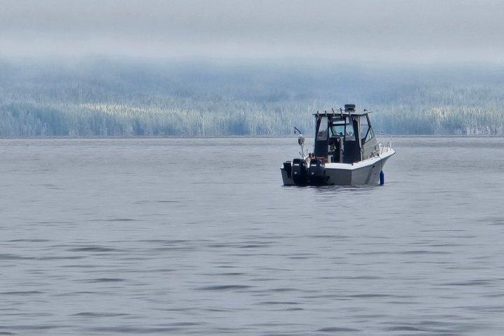 Charte de pêche à Ketchikan avec visites touristiques et observation des baleines