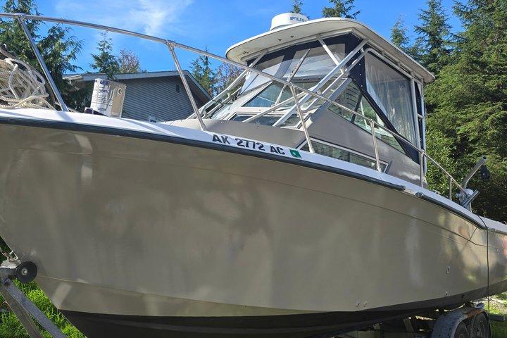 Charte de pêche à Ketchikan avec visites touristiques et observation des baleines