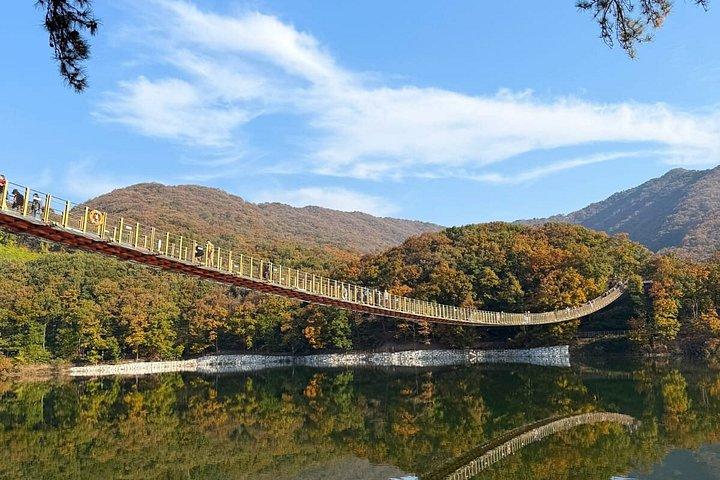 DMZツアー：脱北者Q&A、トンネル＆吊り橋／ホテル送迎