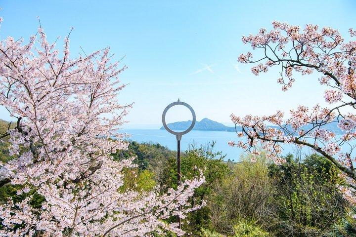 大阪天橋立と伊根の絶景ランチ付きツアー