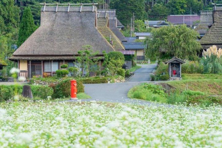 大阪天橋立伊根湾と美山、ランチ付き日帰りツアー
