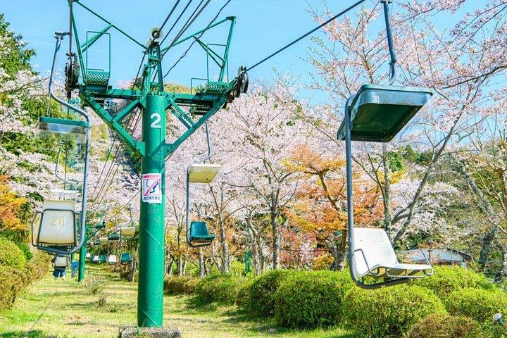 大阪天橋立伊根湾と美山、ランチ付き日帰りツアー