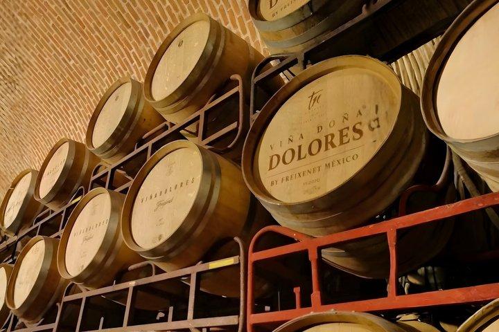Tour de vinos y quesos de Querétaro con degustaciones de viñedos en Inglés