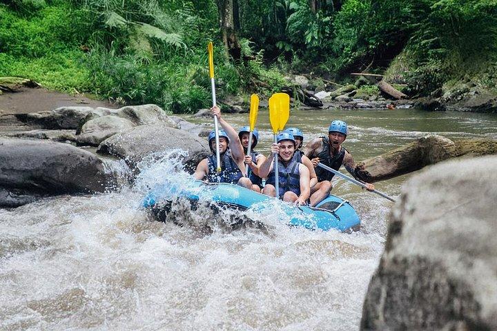 Fuld dag Ubud tur Rafting og ris terrasse med Monkey Forest