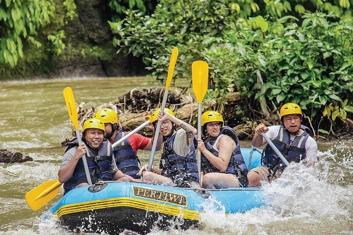 Fuld dag Ubud tur Rafting og ris terrasse med Monkey Forest