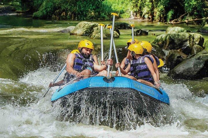 Fuld dag Ubud tur Rafting og ris terrasse med Monkey Forest