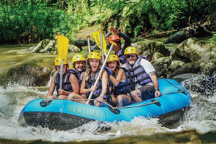 Fuld dag Ubud tur Rafting og ris terrasse med Monkey Forest