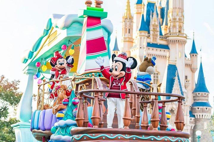 Aeroporto Narita (NRT) : trasferimento privato da/per Tokyo Disney resort