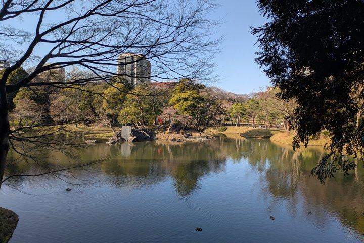 日本語庭園について学ぶコラコエンガイドツアー