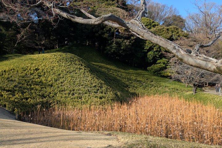 日本語庭園について学ぶコラコエンガイドツアー