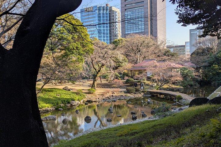 日本語庭園について学ぶコラコエンガイドツアー
