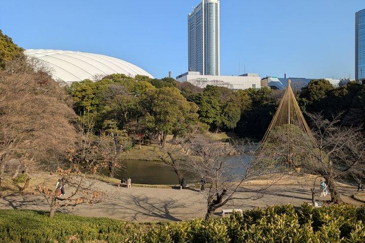 日本語庭園について学ぶコラコエンガイドツアー