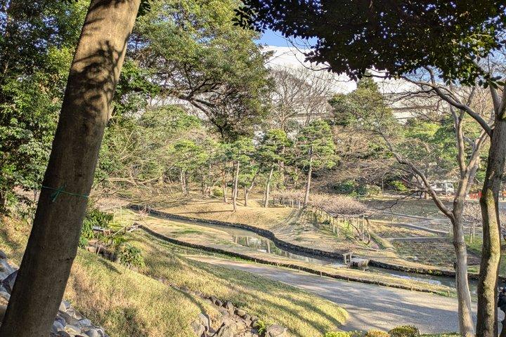 日本語庭園について学ぶコラコエンガイドツアー