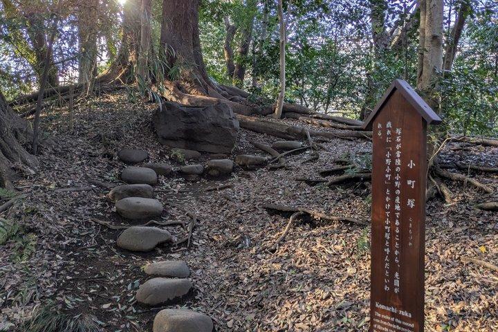 日本語庭園について学ぶコラコエンガイドツアー