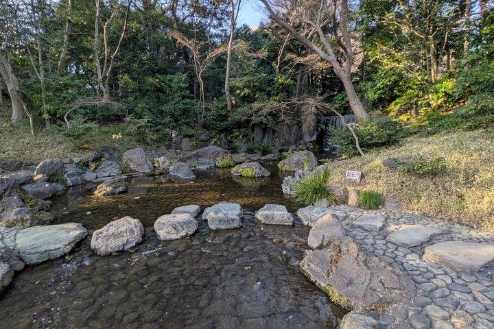 日本語庭園について学ぶコラコエンガイドツアー