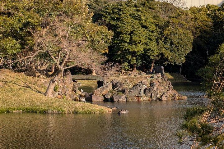日本語庭園について学ぶコラコエンガイドツアー