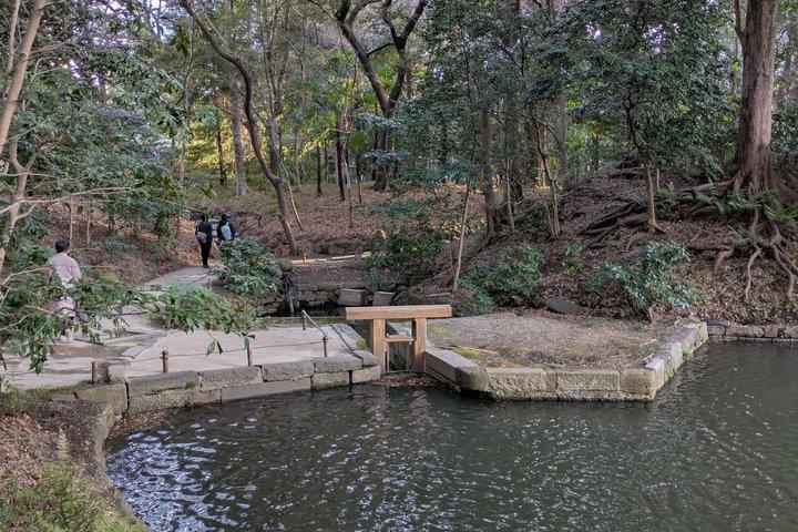 日本語庭園について学ぶコラコエンガイドツアー
