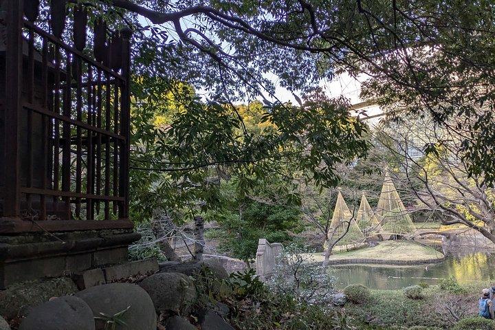 日本語庭園について学ぶコラコエンガイドツアー