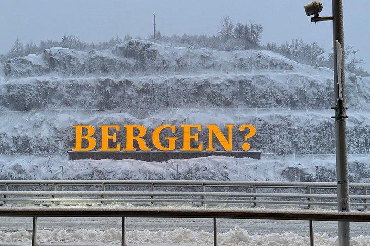 ベルゲン発：フローム鉄道、ステガステイン＆ネロイフィヨルドクルーズ