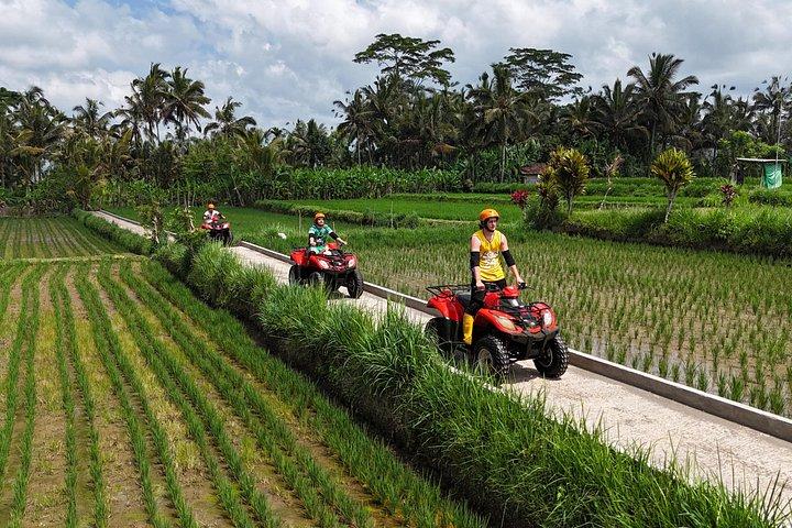 Tour in quad in ATV, tempio e cascata