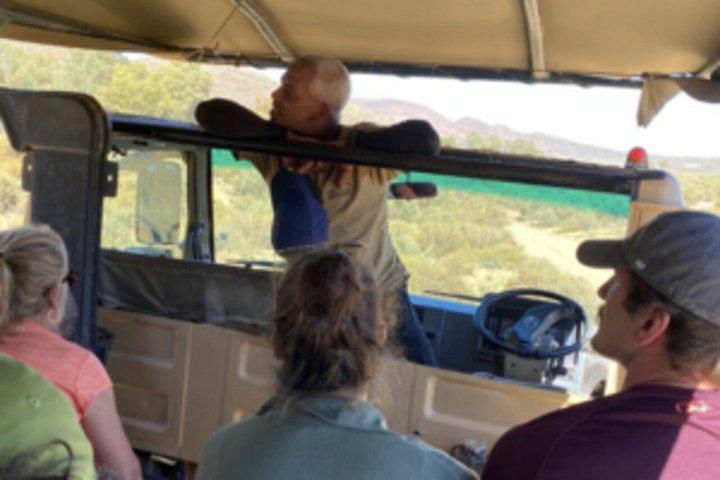 Big 5 Safari Cape Town & Wine Tasting