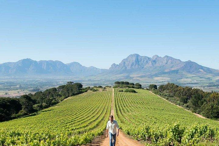 Big 5 Safari Cape Town & Wine Tasting