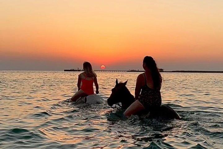 Ridning, svømning, ørken og strand i Hurghada