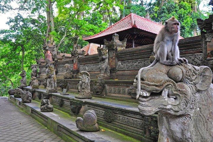 Ubud Private Tour - All Inclusive Premium Experience