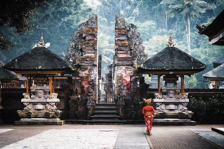 Ubud privat tur risfält tempel vattenfall.