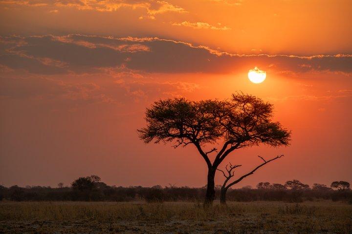Game Drive in Zimbabwe