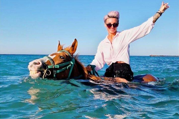 Ridning, svømning, ørken og strand i Hurghada