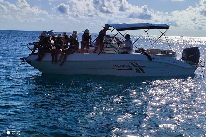 Ulysses Coast Boat Tours