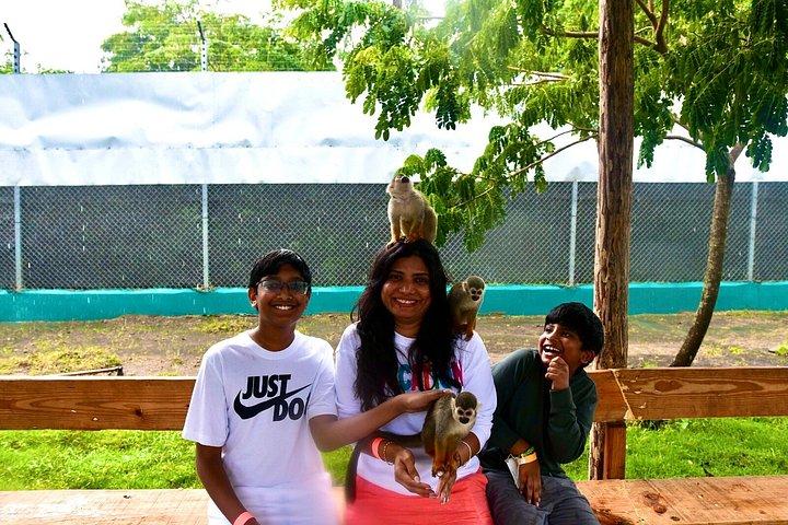 Puerto Plata Monkey Home Tour by Minivan
