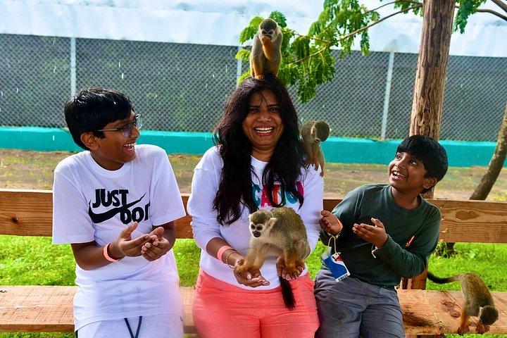 Puerto Plata Monkey Home Tour by Minivan
