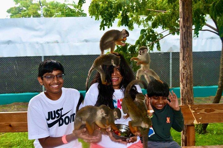 Puerto Plata Monkey Home Tour by Minivan