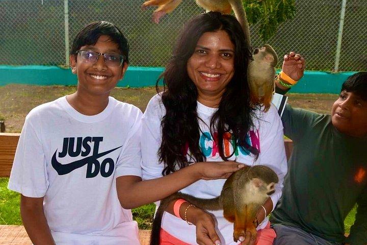 Puerto Plata Monkey Home Tour by Minivan